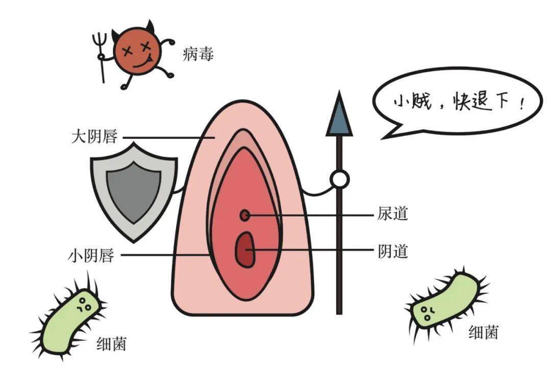 女性得艾滋病的初期症状_艾滋初期皮肤症状图片_艾滋病初期