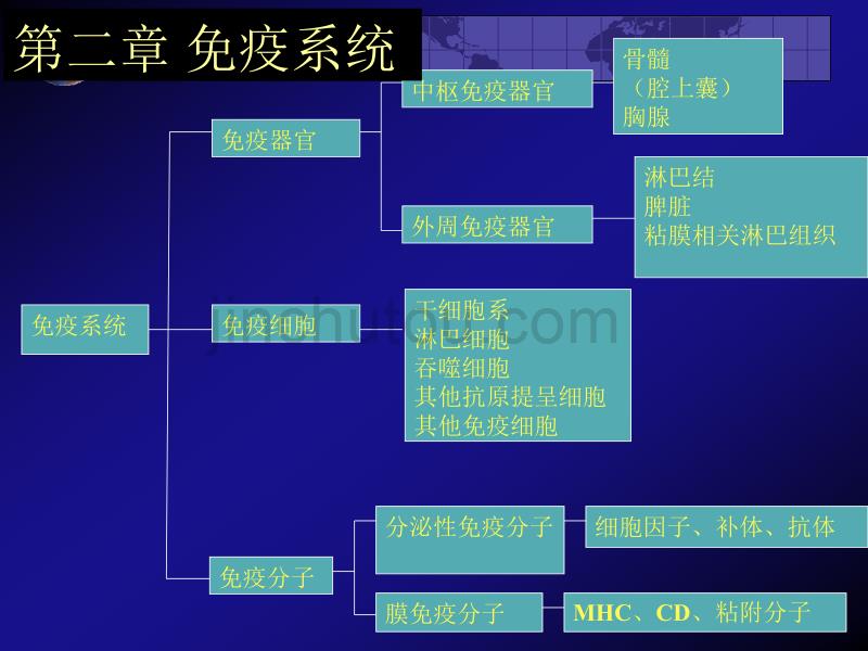 艾滋病初期_艾滋病感染初期一定有症状吗_艾滋病的初期症状图