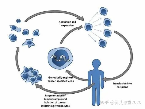 艾滋病治愈_艾滋能不能治愈_艾滋治愈