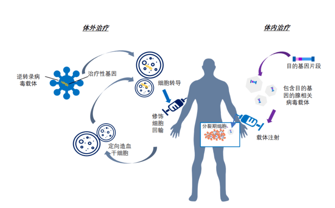 艾滋病治愈_中国治愈艾滋最新突破_西班牙功能性治愈艾滋