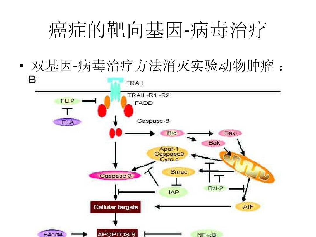 艾滋治愈研究_艾滋病治愈_2018年艾滋功能性治愈