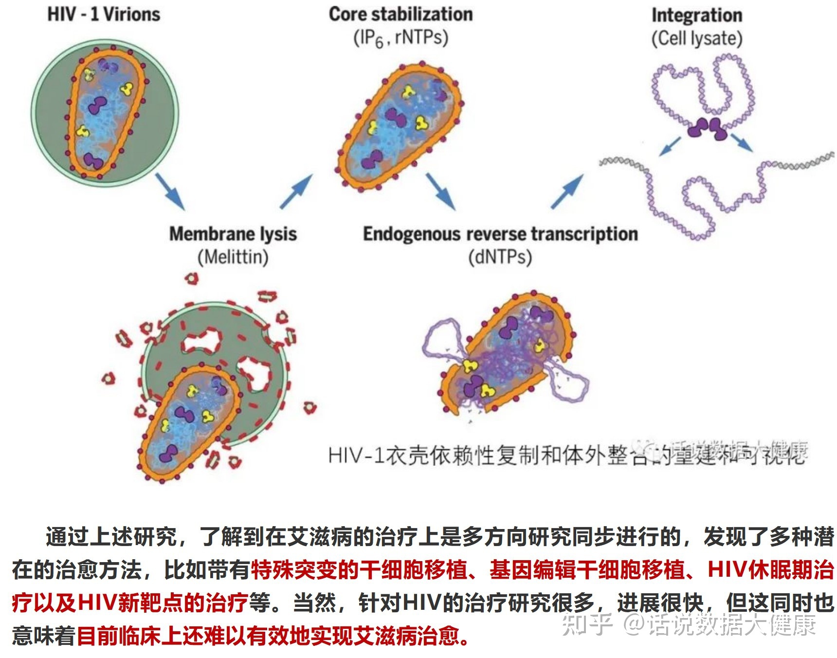 治愈艾滋病_ub421可以治愈艾滋吗_艾滋治愈新闻