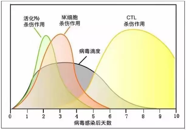 外国功能性治愈艾滋_王福生治愈艾滋_治愈艾滋病