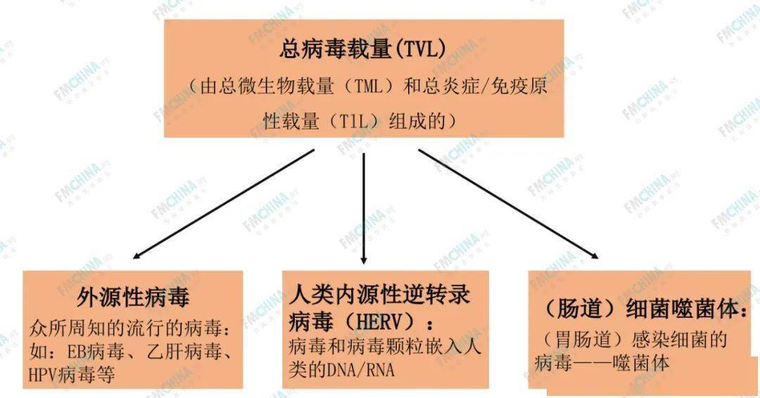 外国功能性治愈艾滋_王福生治愈艾滋_治愈艾滋病