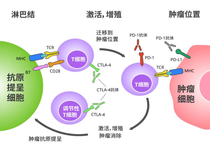 病人自述艾滋病的症状_一个艾滋病人的自述书_艾滋病人自述