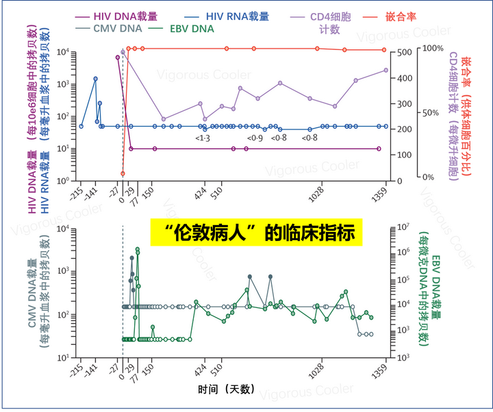 治愈的艾滋病_艾滋病治愈_治愈的艾滋病人