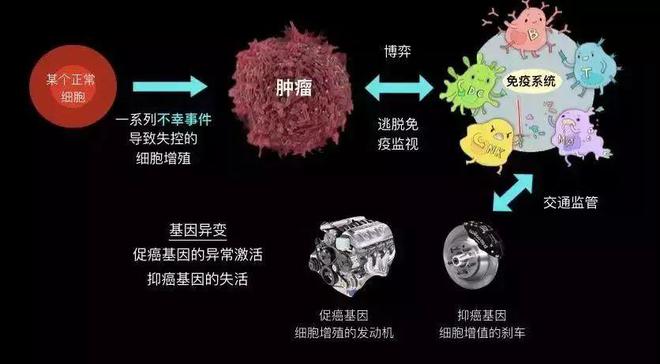 治愈的艾滋病人_艾滋病治愈_治愈艾滋病的又一人