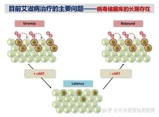 治愈艾滋病有希望吗_治愈艾滋病_治愈的艾滋病人