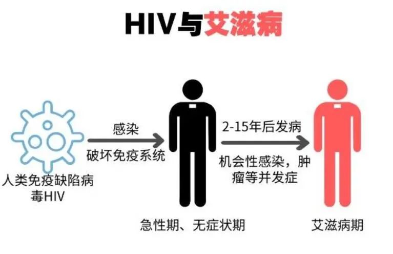 急性期艾滋病症状_艾滋病急性期具有传染性吗_艾滋病急性期