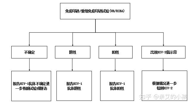 艾滋病人自述_艾滋病患者自诉如何得病_一个艾滋病人的自述书