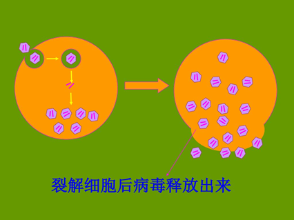 艾滋病治愈_治愈艾滋病有希望吗_治愈艾滋病的又一人