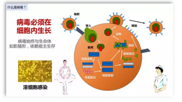 治愈艾滋病的又一人_艾滋病治愈_治愈艾滋病有希望吗