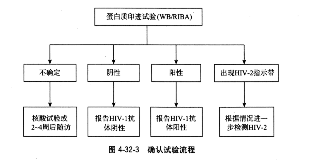 恐艾吧恐针头脱恐_恐艾你恐对了吗_恐艾