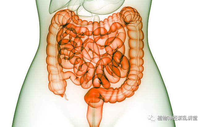 艾滋病初期_初期艾滋病能活多久_初期艾滋病患者症状