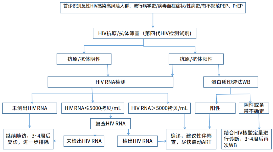 急性艾滋病感染期的临床表现_艾滋病急性期_急性艾滋病感染期的主要表现