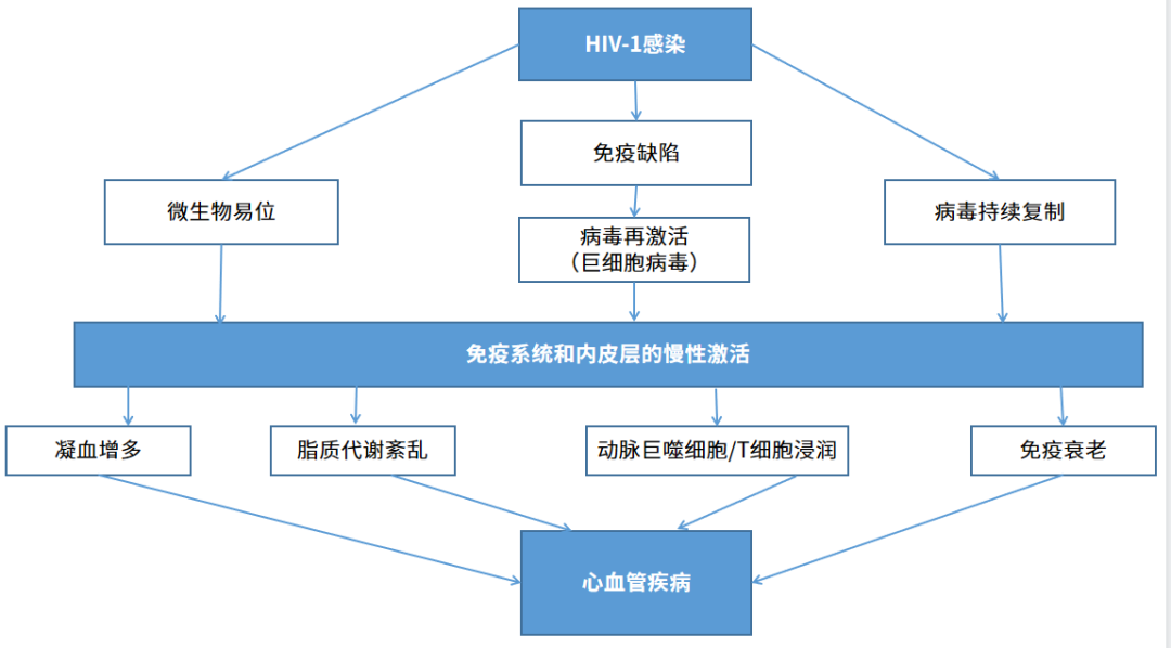 艾滋病急性期_急性艾滋病感染期的临床表现_急性艾滋病感染期的主要表现