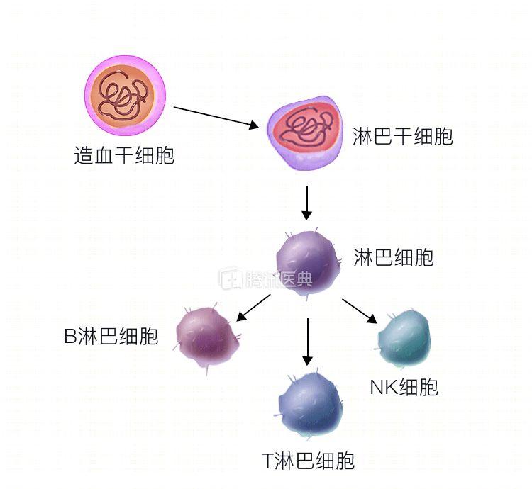 治愈的艾滋病患者_艾滋病治愈_治愈的艾滋病