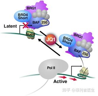 治愈艾滋病_治愈的艾滋病患者_治愈的艾滋病人