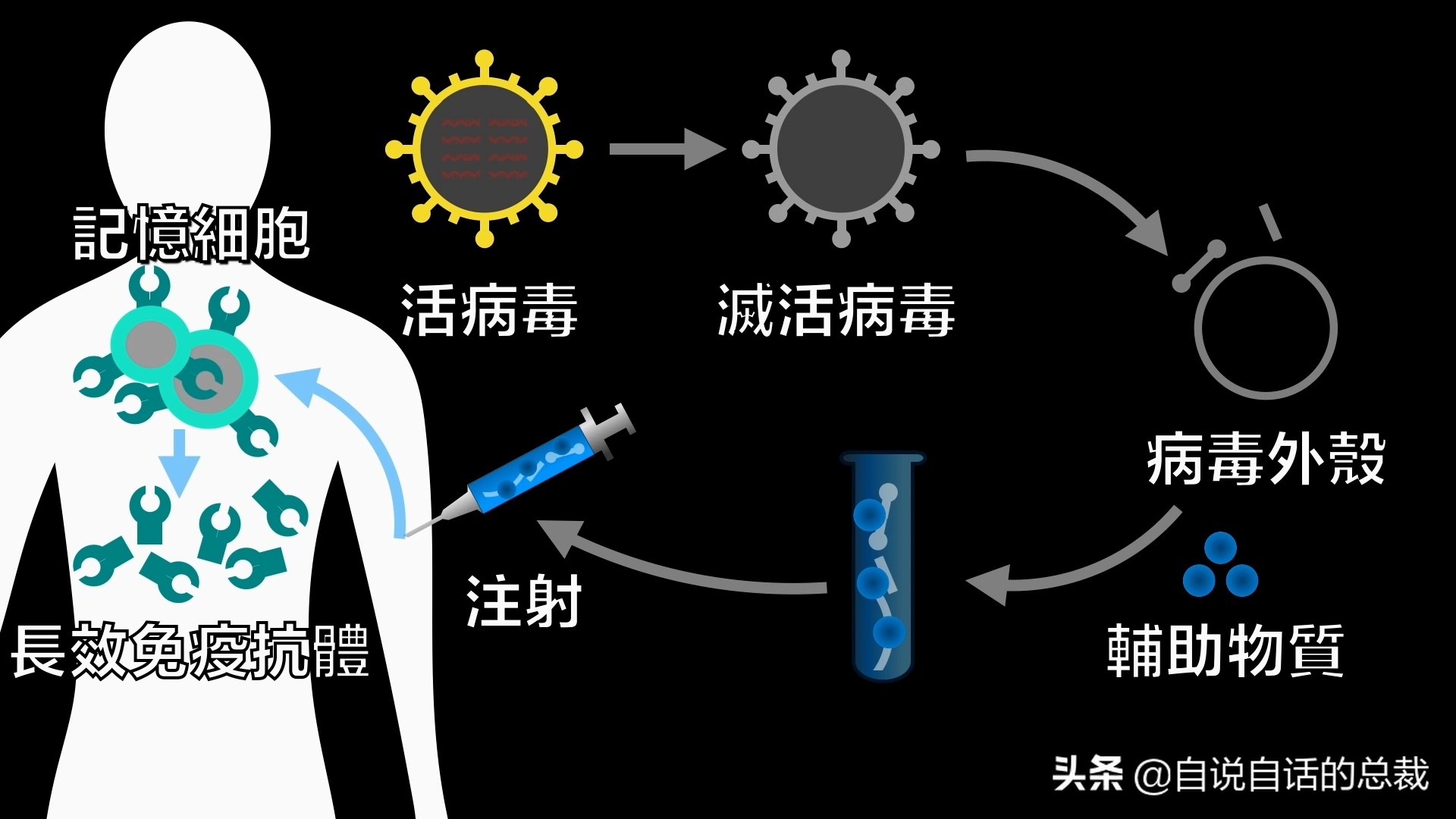 艾滋病急性期_艾滋病急性期具有传染性吗_急性艾滋病感染期的主要表现