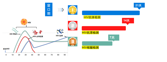 艾滋病急性期具有传染性吗_急性艾滋病感染期的主要表现_艾滋病急性期