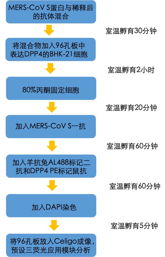 治愈艾滋病_治愈艾滋病有希望吗_治愈的艾滋病人