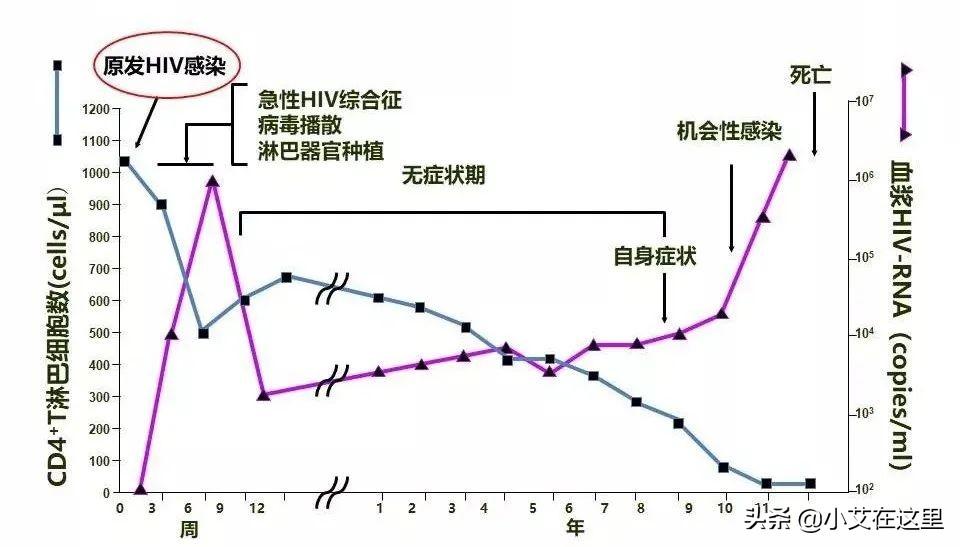 急性艾滋病感染期的临床表现_艾滋病急性期_急性期艾滋病患者自述症状