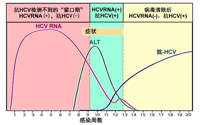 治愈艾滋病有希望吗_治愈艾滋病_治愈的艾滋病