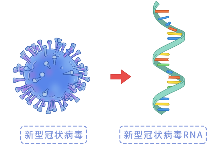 治愈的艾滋病人_治愈艾滋病_治愈艾滋病有希望吗