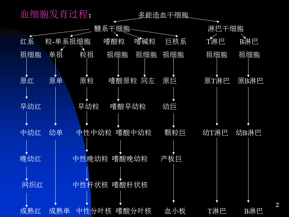 治愈艾滋病的又一人_艾滋病治愈_治愈艾滋病有希望吗