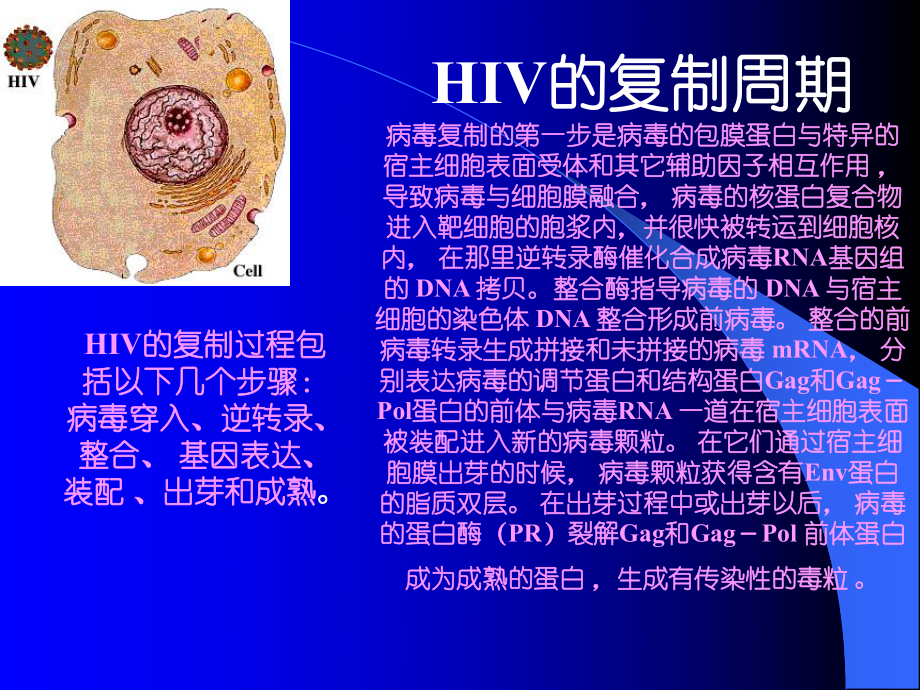 治愈艾滋病有希望吗_治愈艾滋病的又一人_艾滋病治愈