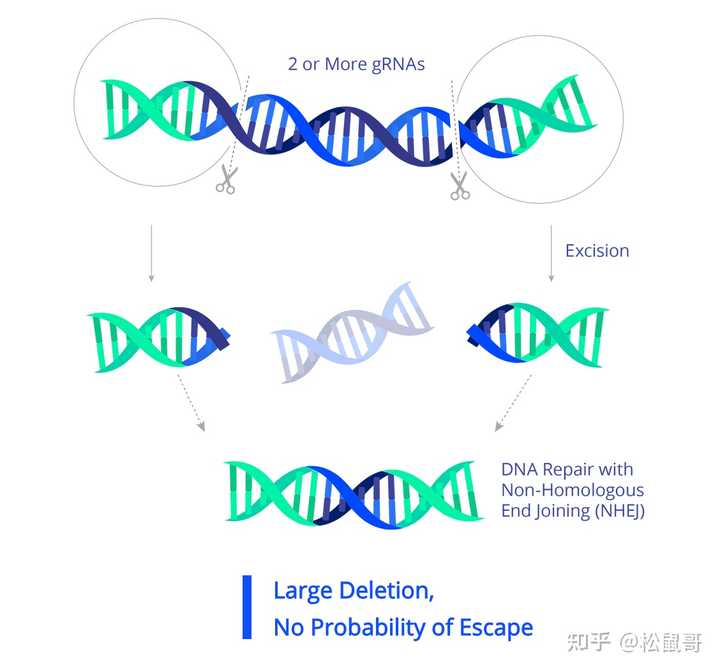 治愈的艾滋病人_治愈艾滋病_治愈的艾滋病