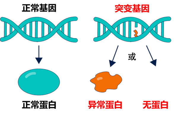 艾滋病治愈_治愈的艾滋病_治愈的艾滋病患者