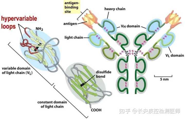 恐艾最权威的脱恐方法_恐艾_恐艾症