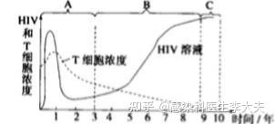 初期艾滋病患者症状_初期艾滋病能活多久_艾滋病初期