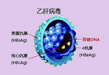 治愈艾滋病的又一人_艾滋病治愈_治愈的艾滋病患者