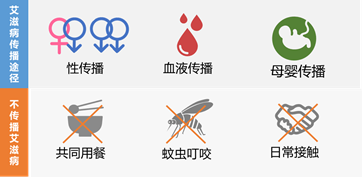 艾滋病传播途径示意图