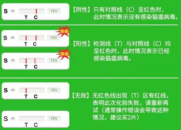 艾滋病急性期_急性艾滋病感染期的临床表现_艾滋病急性期具有传染性吗