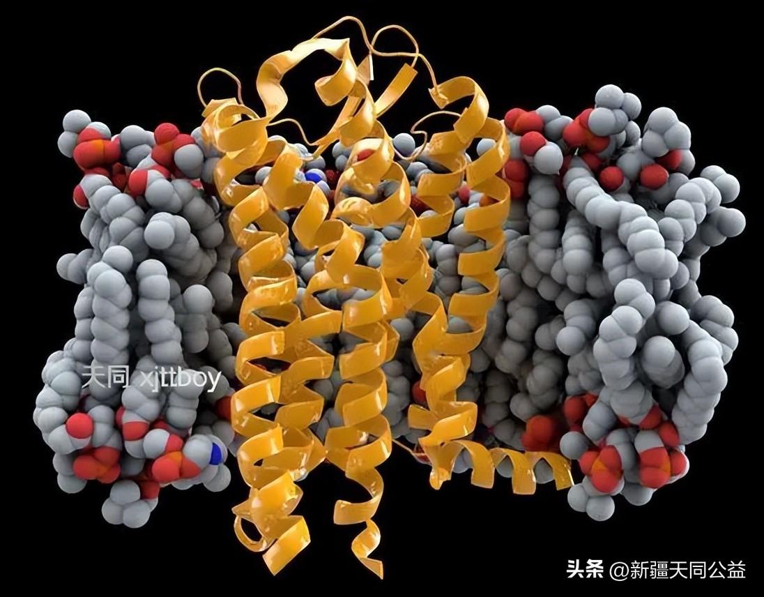 治愈艾滋病有希望吗_治愈的艾滋病人_治愈艾滋病