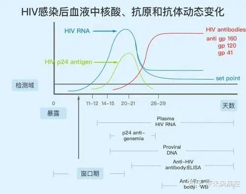 艾滋病急性期_艾滋病急性期具有传染性吗_急性期艾滋病症状