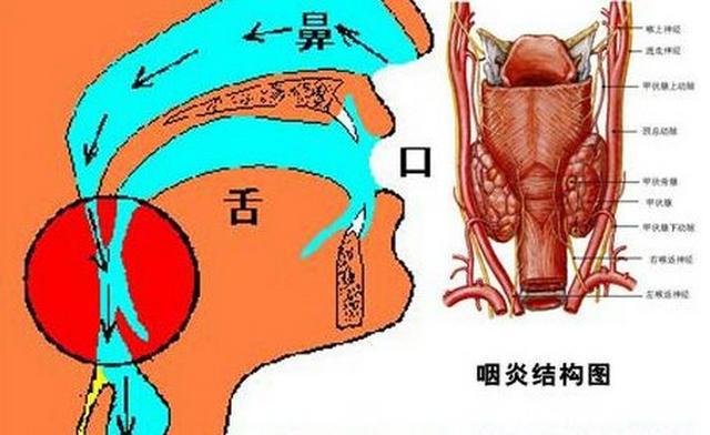 急性艾滋病感染期的主要表现_艾滋病急性期_急性期艾滋病患者自述症状