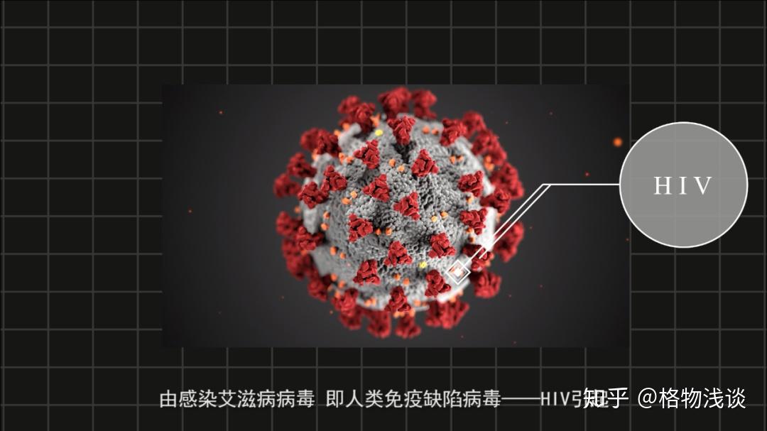 感染艾滋病自诉_艾滋病的自述文章1000字_艾滋病自述