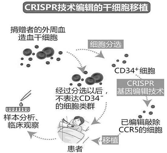 治愈的艾滋病患者_治愈艾滋病有希望吗_治愈艾滋病