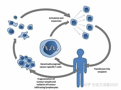 治愈艾滋病_治愈的艾滋病患者_治愈的艾滋病