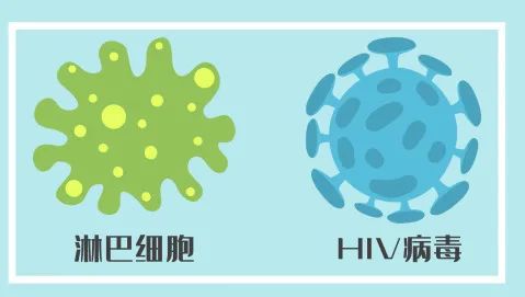 初期艾滋病能活多久_艾滋病初期_初期艾滋病患者症状