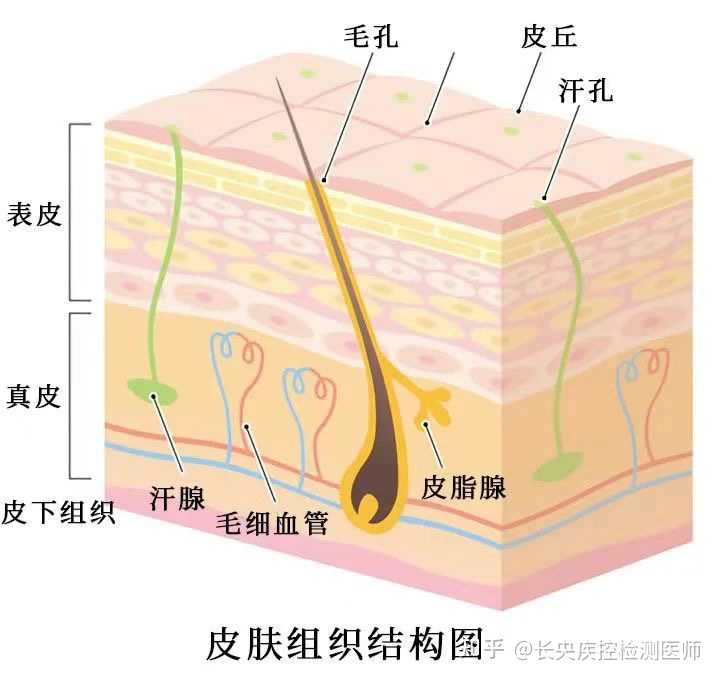 艾滋病人自述_病人自述艾滋病怎么写_艾滋病患者自诉如何得病