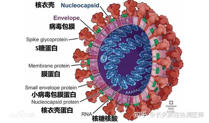 艾滋病人自述_病人自述艾滋病怎么写_艾滋病患者自诉如何得病