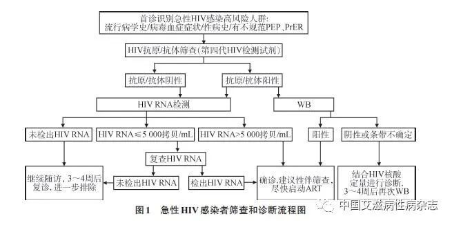 急性艾滋病感染期的临床表现_急性期艾滋病患者自述症状_艾滋病急性期