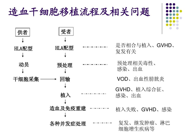 全球第5位艾滋病治愈者出现：真的可以根治了？