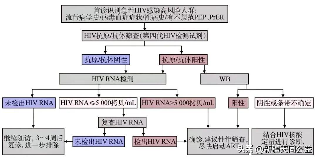 急性艾滋病感染期症状_hiv急性期有传染性吗_艾滋病急性期