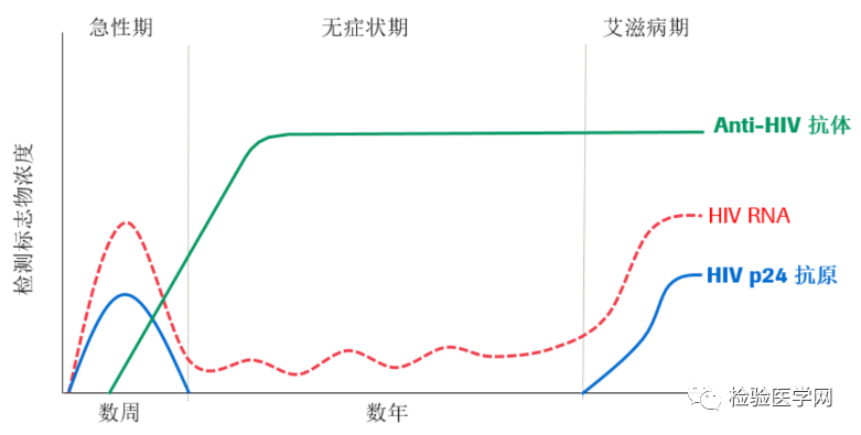 急性艾滋病感染期的临床表现_急性期艾滋病症状_艾滋病急性期